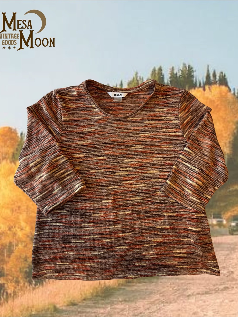 Vintage Autumnal Boho Alia Multicolor Knit Top